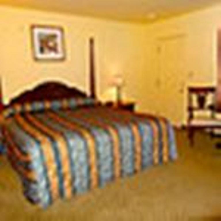 The Whispering Pines Motel- Whitestone White Stone Luaran gambar